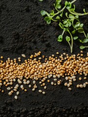 Poster - A variety of seeds lie scattered on dark soil with delicate green sprouts growing alongside, showcasing potential for growth. Generative AI