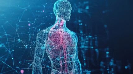 Poster - Futuristic low poly human body model with glowing lines and nodes, representing digital representation of anatomy and technology