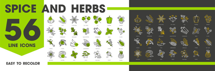 Wall Mural - Cooking spices, herbs and seasonings outline icons of food flavorings and culinary condiments, vector line pictograms. Spices icons of vanilla, ginger, mint and garlic, pepper and paprika with basil