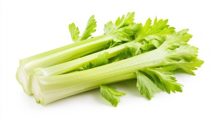 Wall Mural - a fresh crisp celery stalk with its pale green color and crunchy texture, each celery’s vibrant colo