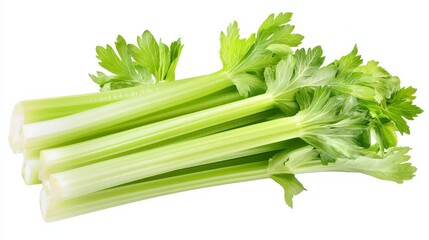 Wall Mural - a fresh crisp celery stalk with its pale green color and crunchy texture, each celery’s vibrant colo