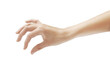 © peshkova - Human hand reaching out with fingers slightly curled. Isolated on a white background. Concept of gesture, reaching, or holding. Minimalist style