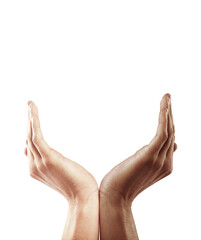 Poster - Two hands forming a cup shape, held symmetrically with palms facing upward. Isolated on a white background. Concept of offering or receiving