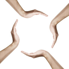 Poster - Four human hands forming a circular shape, isolated on a clean white background. Minimalist design with ample white space, conveying unity or connection