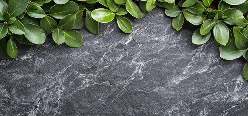 Aufkleber - A delicate, floating natural element against a dark background.
