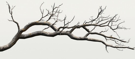 tree branch realistically depicted through 3d modeling.