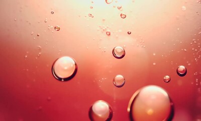 Wall Mural - crimson bubbles abstract: an evocative image of translucent bubbles suspended in a vibrant crimson l