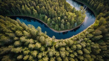 Wall Mural - Aerial View of a Meandering River through a Forest - generative ai