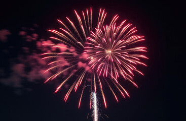 from below shot of wonderful vivid fireworks exploding on background of black night sky