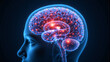 © niji - 3d rendered illustration of a brain