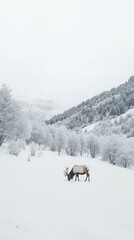 Poster - A deer is grazing in the snow in a mountain range