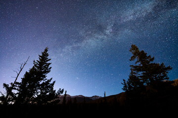 Wall Mural - Milky Way galaxy, pine trees silhouette under a clear starry night sky. Real photos.