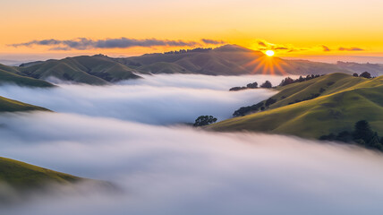 Poster - Sunrise breaking through morning fog over rolling hills creates serene and breathtaking landscape, with soft light illuminating lush green terrain
