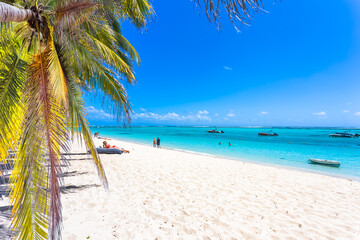 Wall Mural - Plage paradisiaque du morne Brabant, île Maurice 