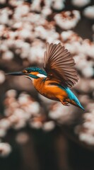 Poster - A vibrant kingfisher in flight against a blurred floral background.