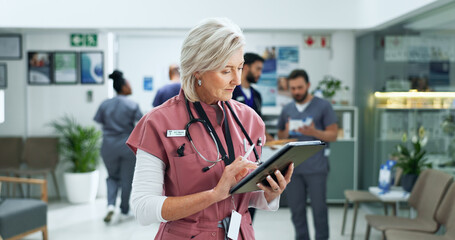 Poster - Tablet, telehealth and mature woman doctor in hospital with medical research or feedback. Digital technology, reading and female healthcare worker with online surgery or treatment plan in clinic.