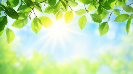 Poster - Bright sunlight filtering through green leaves, creating a serene and refreshing atmosphere.