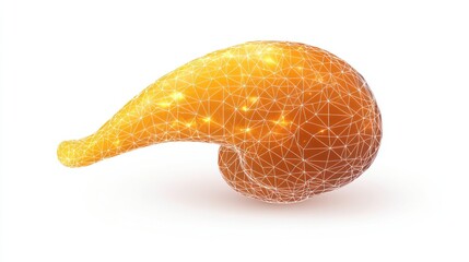 Leinwandbilder - A stylized 3D representation of a pancreas with a glowing network design.