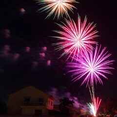 Wall Mural - colorful fireworks in the night sky