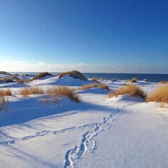 snow, dunes, north sea, blue sky, winter, landscape