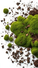 Canvas Print - Green moss landscape with scattered dark brown soil and fragments