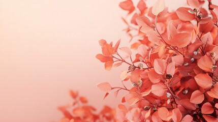 Poster - A close up of a red flower with a pink background