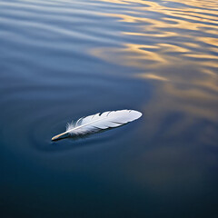 white Feather Floating on Calm Blue Water Surface, peaceful reflection