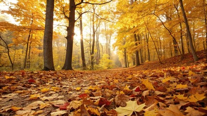 Wall Mural - a blanket of golden brown and vibrant yellow leaves blankets the forest floor as nature's colorful c