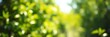 © Chalermrach - Abstract blurred green bokeh nature background with a summer landscape effect, foliage, bokeh