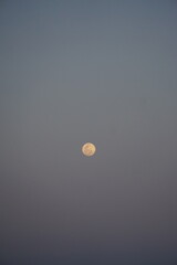 night sky moon observation outdoor landscape astrophotography serene environment wide viewpoint cele