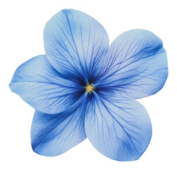 Sticker - PNG Beautiful blue flower with delicate petal details