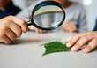 © Alexandra - Kids exploring nature and learning botany by looking at a leaf with a magnifying glass