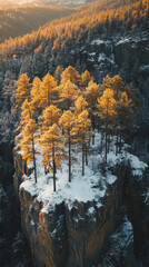 Canvas Print - A serene winter landscape with snow-covered trees under a starry night sky, illuminated by gentle moonlight, creating a peaceful Christmas vibe for smartphone wallpaper.