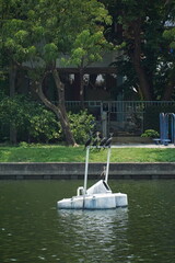 Wall Mural - Birds perched on floating platform urban lake wildlife photography natural habitat serene viewpoint nature conservation