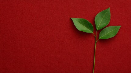 Two green leaves on a red background.