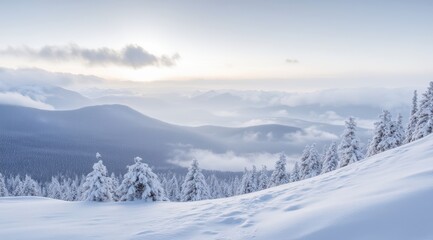 Sticker - Peaceful snowy landscape at sunrise