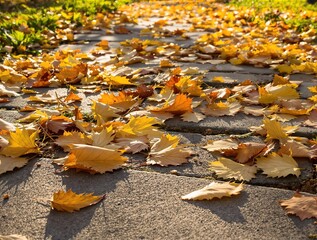 Aufkleber - Bright autumn leaves gently falling onto a stone pathway, illuminated by soft morning sunlight