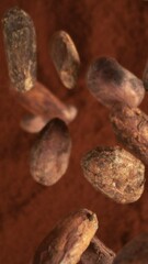 Poster - Super Slow Motion of Falling Group of Cocoa Beans. Falling Down into Cocoa Powder. Filmed on High Speed Cinema Camera, 1000fps.