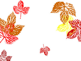 Wall Mural - autumn leaves set