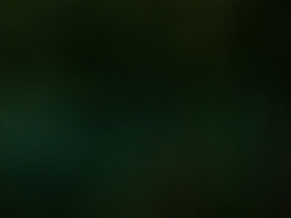 Wall Mural - Black and dark green blurred view. Dark, moody blurry background
