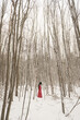 © Milou Dirks - art portrait of woman in long red dress walking alone  in the snow in a winter forest