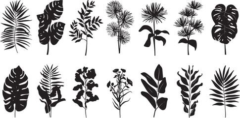 Poster - Black leafs illustration on xhite background.