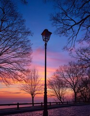 Canvas Print - Silhouette of bare trees at sunset with a lamppost in the foreground. Pink and purple hues paint the sky.