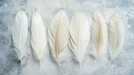 Aufkleber - Softly Arranged White Feathers on a Textured Background Creating a Light and Airy Aesthetic for Artistic and Nature-Inspired Projects