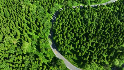 Poster - 道路、自動車、空撮、風景、景色、森林、自然、峠道、エコロジー、交通、クルマ、ドローン、俯瞰、ドライブ、運転、旅行、観光、レンタカー、ツーリング、グリーン、ハイアングル、展望、パノラマ、鳥瞰図、上から見た、見下ろす、地平線、景観、迫力、環境、新緑、エコシステム、地球環境、環境保護、気候変動、サステナブル、SDGs、持続可能な開発目標、サステナビリティ、グリーントランスフォーメーション、GX、ESG投