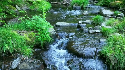 Aufkleber - 渓流、小川、渓谷、清流、自然、環境、エコロジー、湧水、名水、新緑、流れる、水流、せせらぎ、水質、水源、サステナビリティ、SDGs、大地、グリーン、エコシステム、地球環境、環境保護、サステナブル、持続可能な開発目標、ESG投資、CSR、爽やか、植物、河川、雪解け水、釣り、夏、春、アウトドア、レジャー、風景、エコ、大自然、景色、環境問題、地球、水面、屋外、森林、旅行、マイナスイオン、癒し、リラクゼーシ