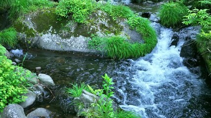 Aufkleber - 小川、渓谷、渓流、清流、滝、湧水、峡谷、水流、エコロジー、アウトドア、癒し、苔、リラクゼーション、自然、環境、名水、新緑、流れる、せせらぎ、水質、水源、サステナビリティ、SDGs、大地、グリーン、エコシステム、地球環境、環境保護、サステナブル、ESG投資、CSR、爽やか、植物、河川、雪解け水、釣り、夏、春、レジャー、風景、エコ、大自然、景色、環境問題、水面、屋外、森林、旅行、マイナスイオン、岩場