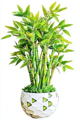 Poster - A vibrant bamboo plant in a decorative pot, symbolizing luck and prosperity, with lush green leaves and sturdy stalks.