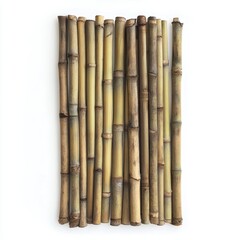 Bamboo stalks arranged vertically on a white isolated background.