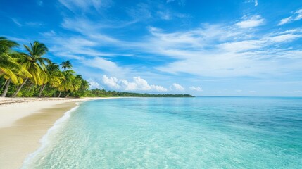 Aufkleber - A scenic coastal beach with crystal-clear waters and palm trees against a blue sky, Beach scene, Tropical paradise style